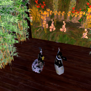 "The Garden" ~photo by Missy Rothmanay