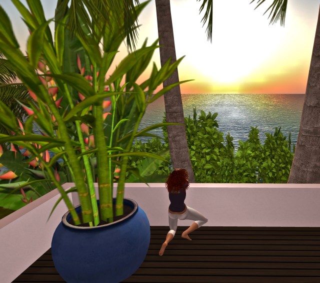 #11Ismara~photo Karima Hoisan