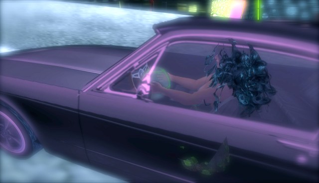 Diary 5_020~photo Karima Hoisan