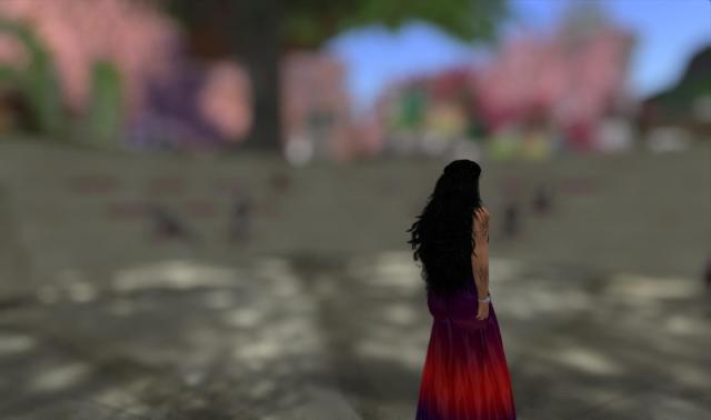 Then...I don't rememebr a thing, but I do remember I came to and I had finished my reading:) Imagine that!! photo by Nat