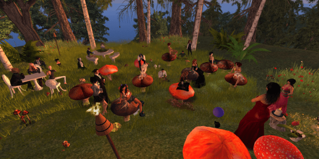 Bird's eyes view photo by Dale Innis