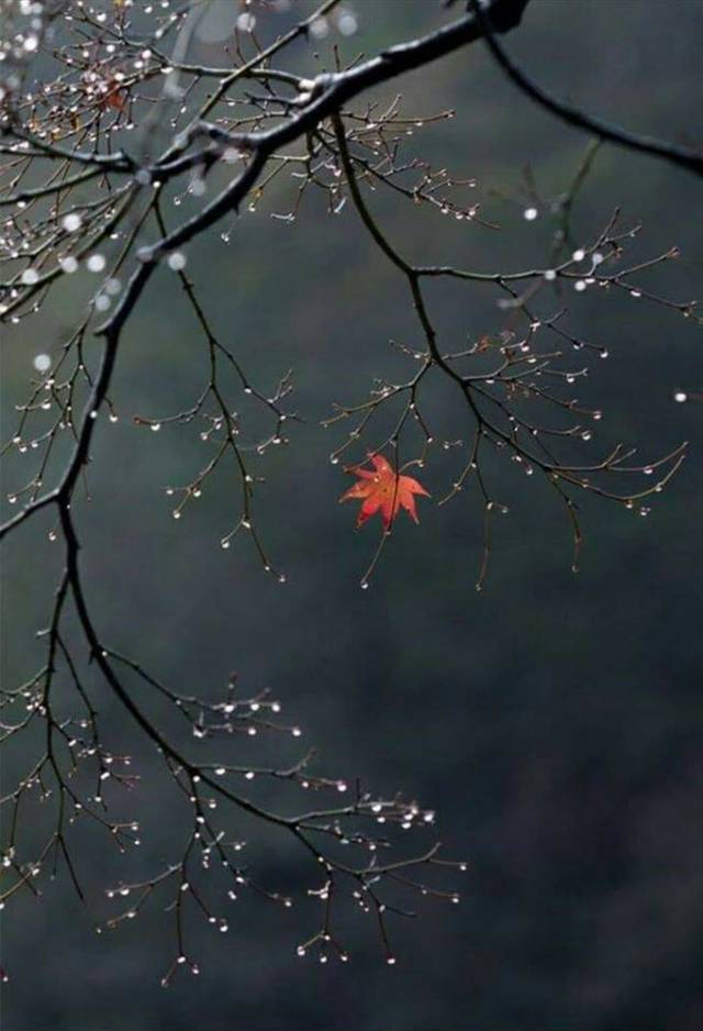 The last leaf_o
