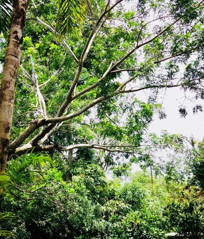 editsApp Image 2020-09-15 at 12.34.27 PM (1)