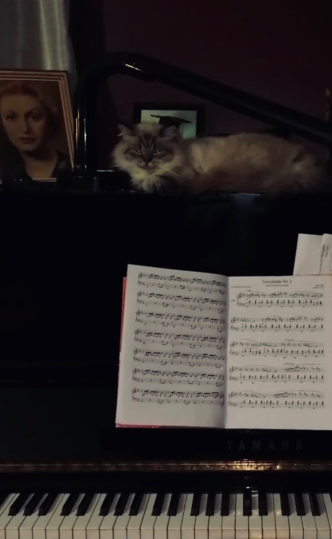 WhatsApp Image 2020-12-05 at 6.58.15 PM