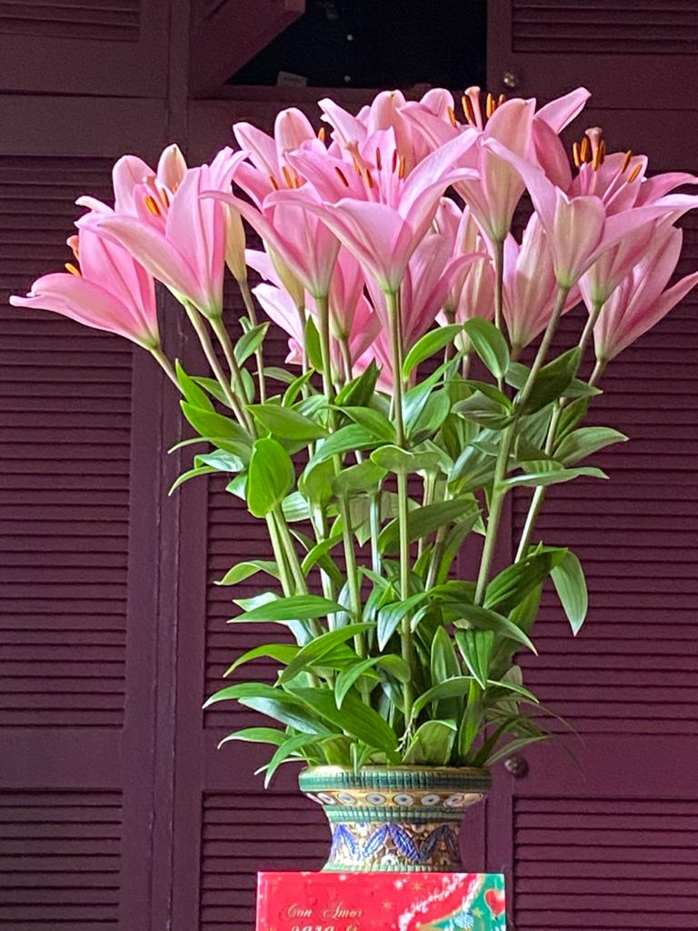 WhatsApp Image 2020-12-28 at 12.02.46 PM