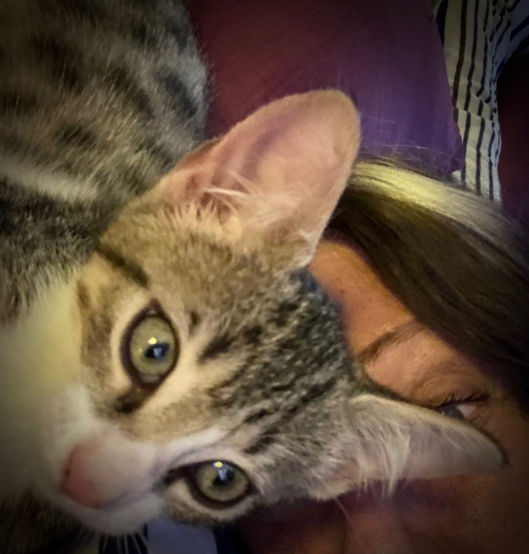 bettsApp Image 2021-07-23 at 5.09.22 PM