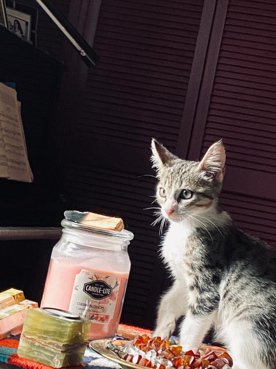 WhatsApp Image 2021-07-22 at 12.52.52 PM