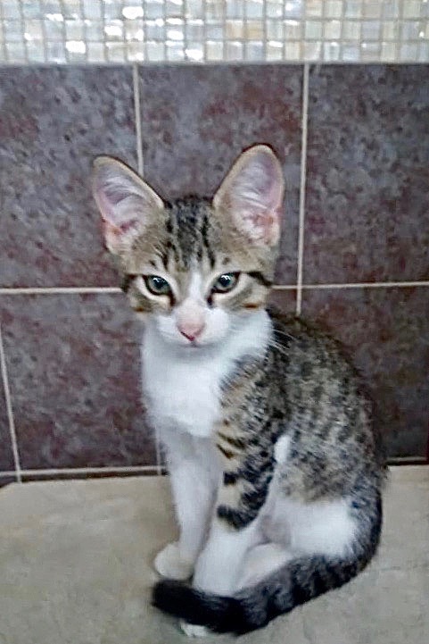 WhatsApp Image 2021-07-23 at 4.44.24 PM