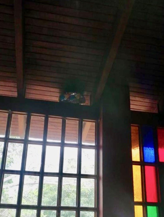 WhatsApp Image 2022-03-24 at 5.08.55 PM