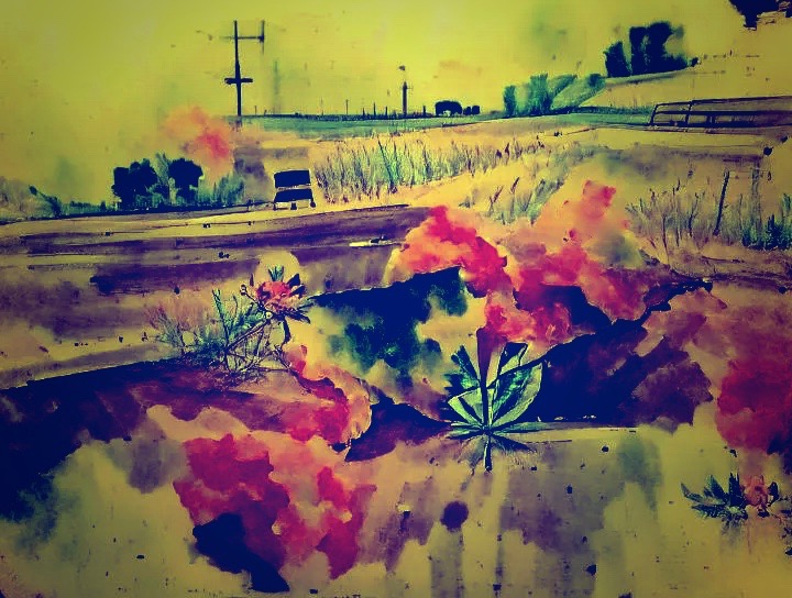 image_2022_04_22T03_10_50_155Z