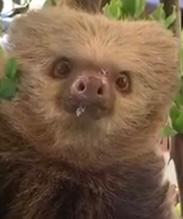 WhatsApp Image 2022-05-31 at 5.06.11 PM