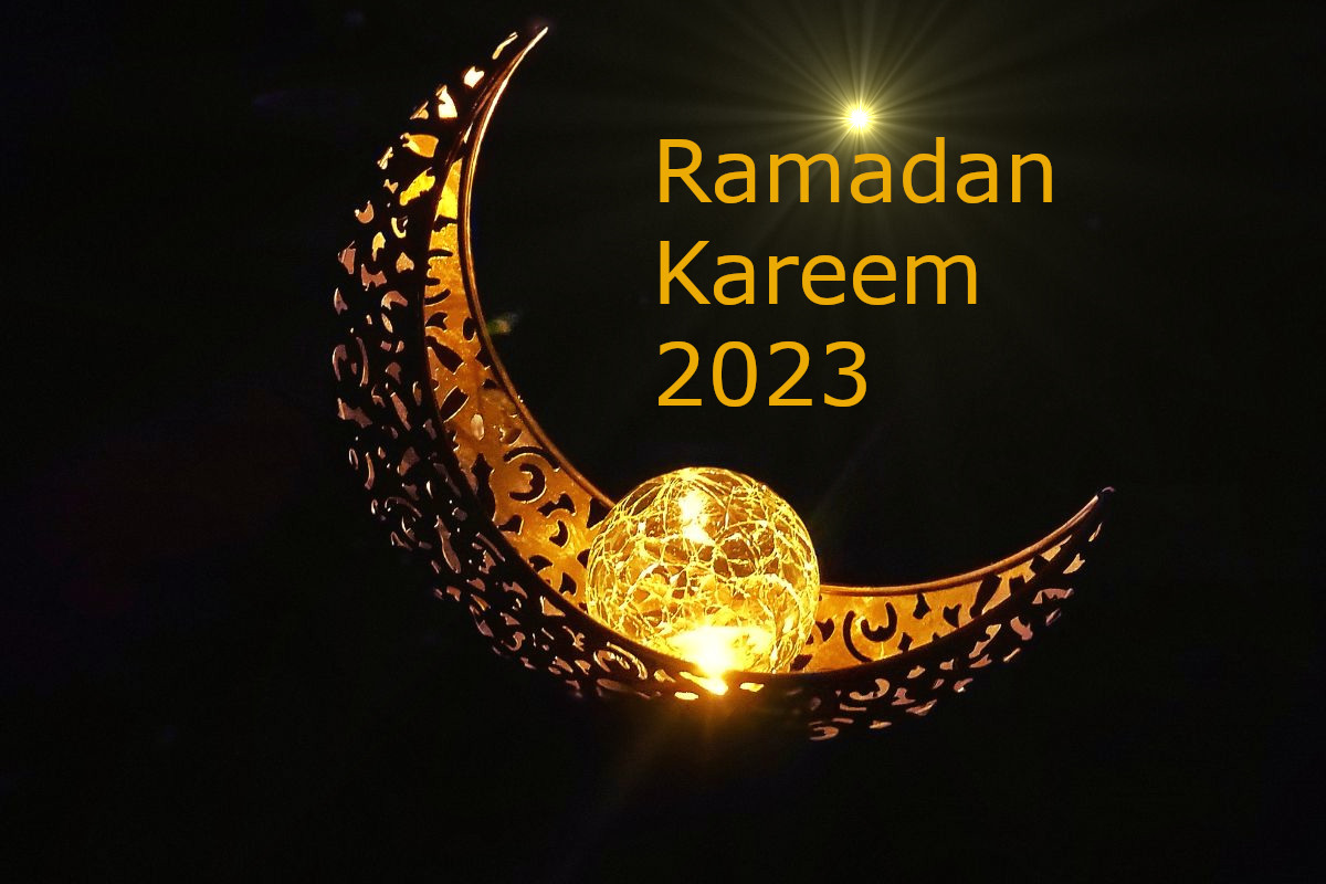 image_2023_03_22T03_43_17_171Z