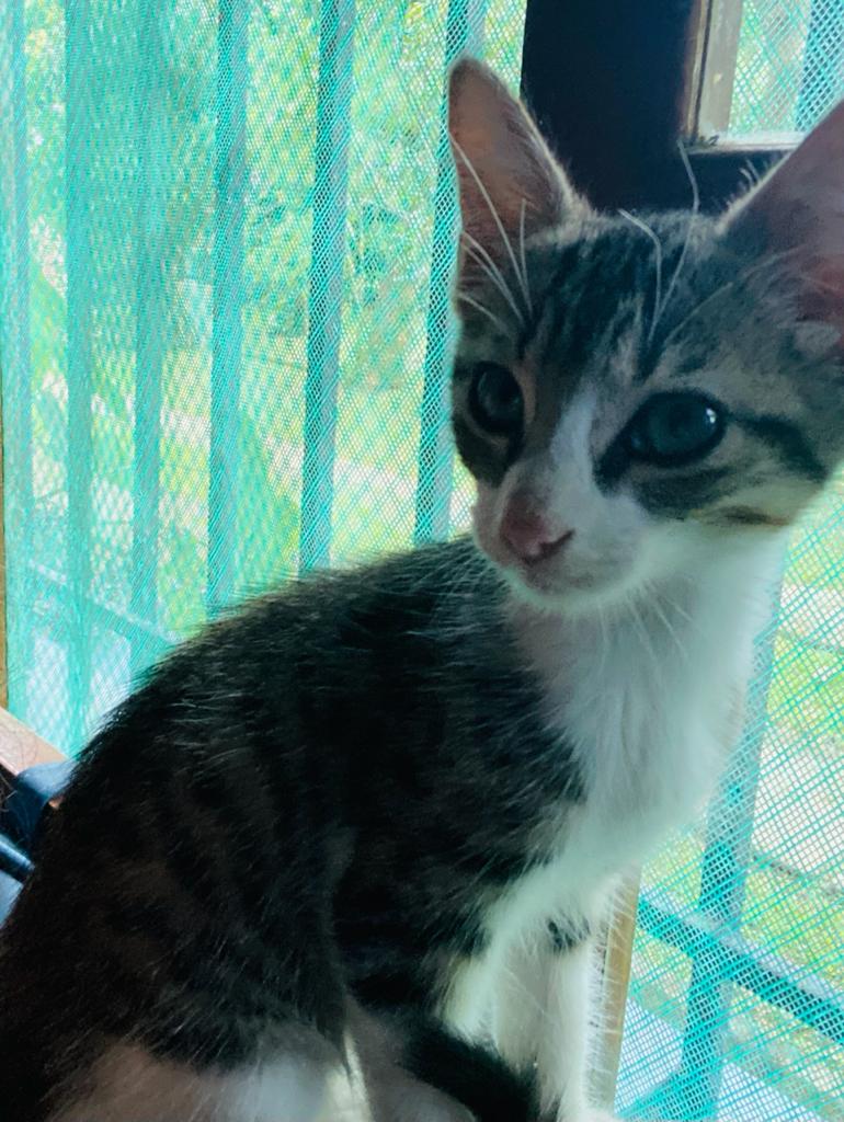 WhatsApp Image 2021-07-14 at 2.49.33 PM