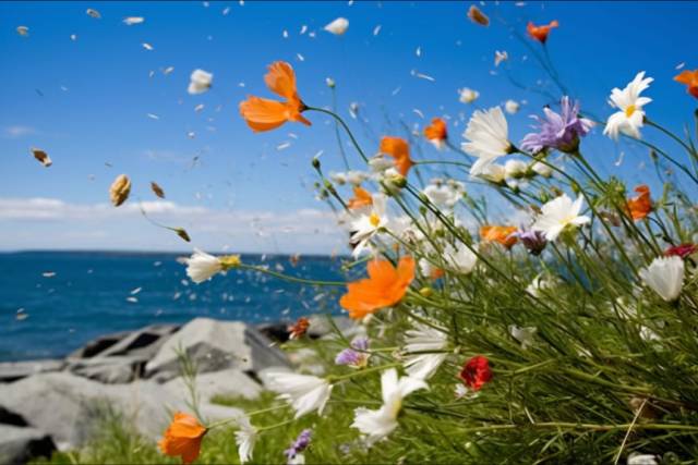 WhatsApp Image 2023-05-11 at 1.59.56 PM