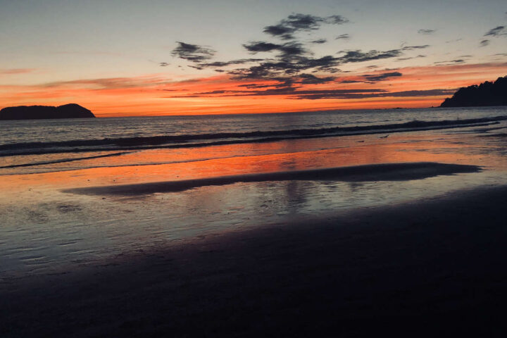 Stop-The-Night-spillwords-720x480