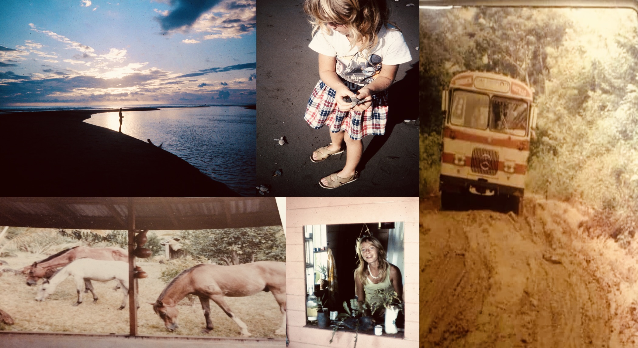 goodt 2024-01-12 at 11.05.37 AM 2