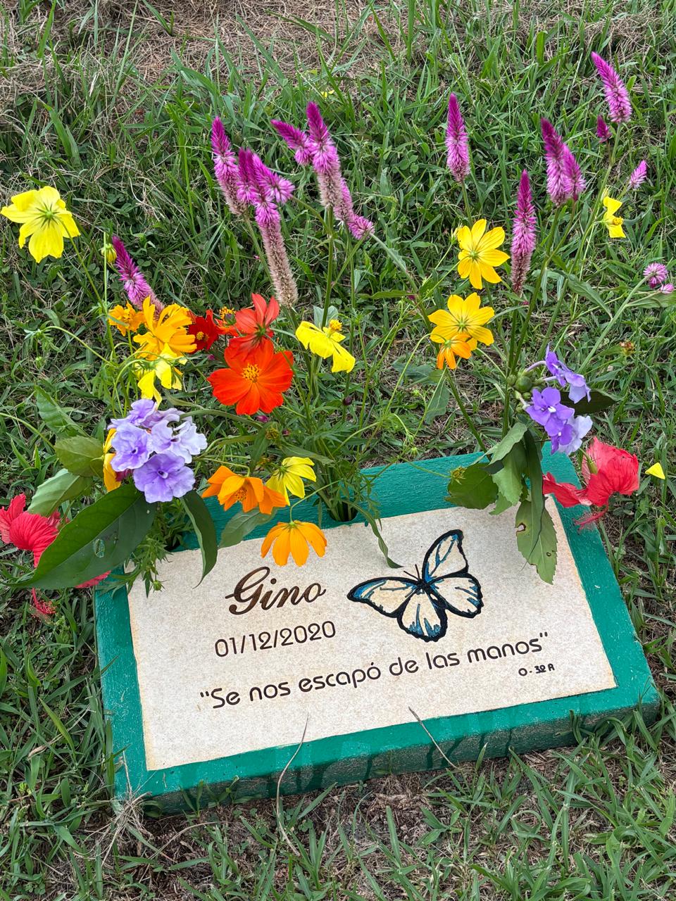 WhatsApp Image 2024-12-13 at 9.37.30 PM